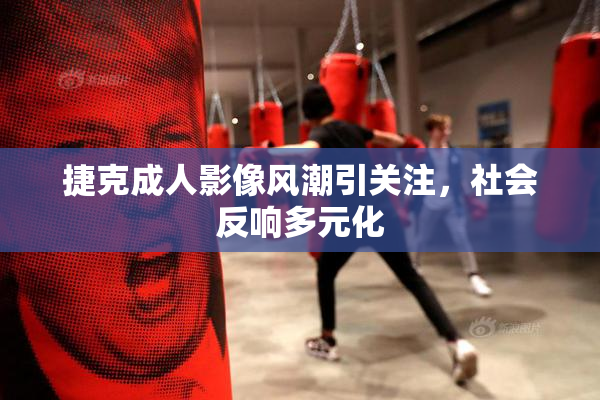 捷克成人影像风潮引关注，社会反响多元化