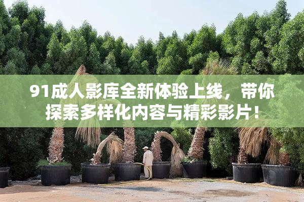 91成人影库全新体验上线，带你探索多样化内容与精彩影片！