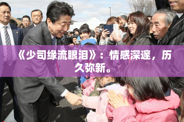 《少司缘流眼泪》：情感深邃，历久弥新。