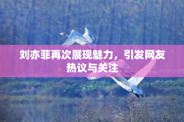 刘亦菲再次展现魅力，引发网友热议与关注