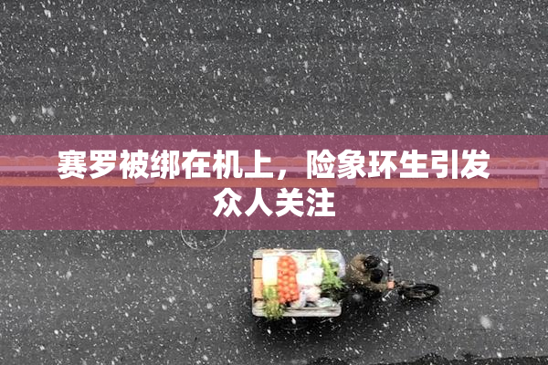 赛罗被绑在机上，险象环生引发众人关注