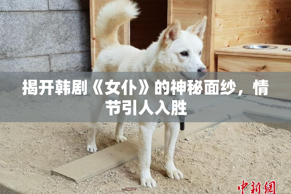 揭开韩剧《女仆》的神秘面纱，情节引人入胜