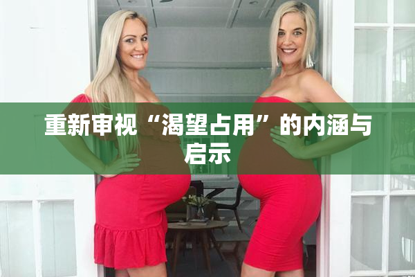 重新审视“渴望占用”的内涵与启示
