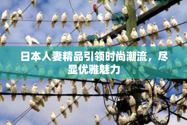 日本人妻精品引领时尚潮流，尽显优雅魅力