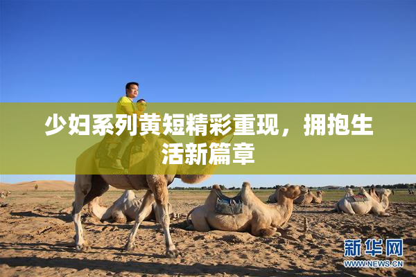 少妇系列黄短精彩重现，拥抱生活新篇章