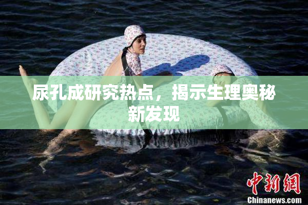尿孔成研究热点，揭示生理奥秘新发现