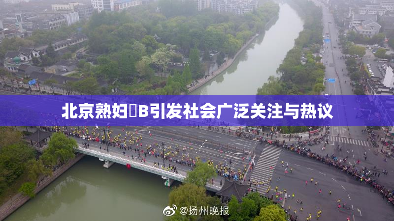 北京熟妇槡B引发社会广泛关注与热议