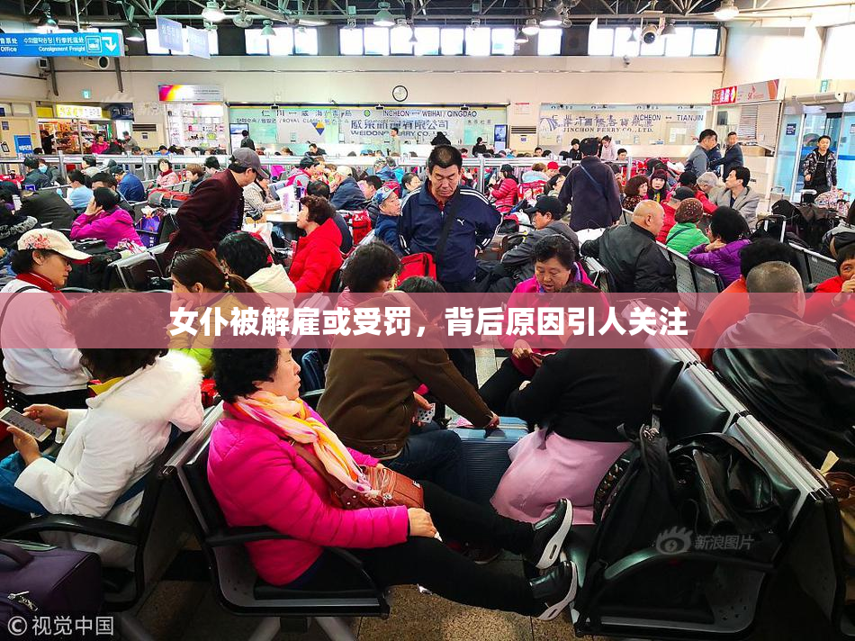 女仆被解雇或受罚，背后原因引人关注