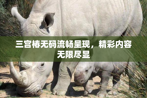 三宫椿无码流畅呈现，精彩内容无限尽显