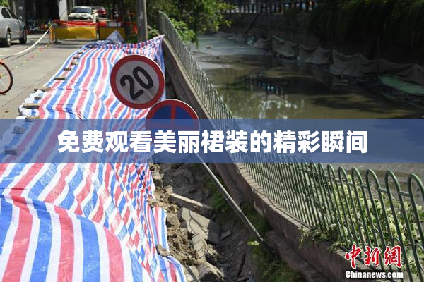 免费观看美丽裙装的精彩瞬间
