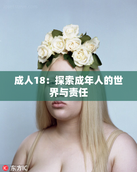 成人18：探索成年人的世界与责任
