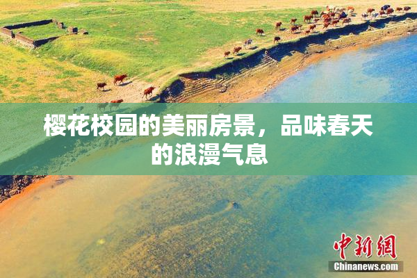 樱花校园的美丽房景，品味春天的浪漫气息