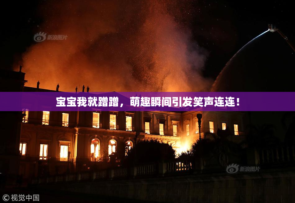 宝宝我就蹭蹭，萌趣瞬间引发笑声连连！