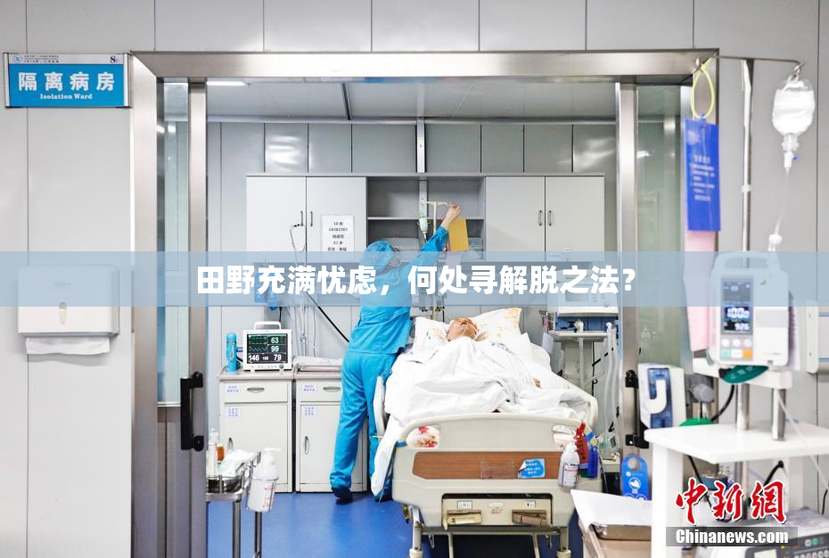 田野充满忧虑，何处寻解脱之法？
