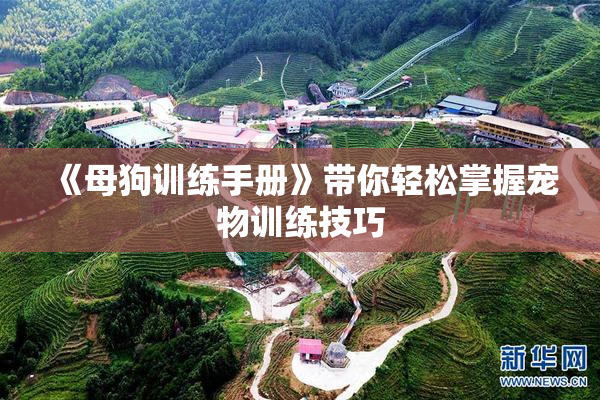《母狗训练手册》带你轻松掌握宠物训练技巧