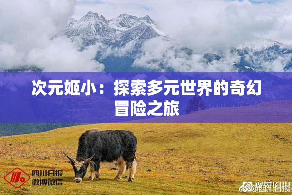 次元姬小：探索多元世界的奇幻冒险之旅