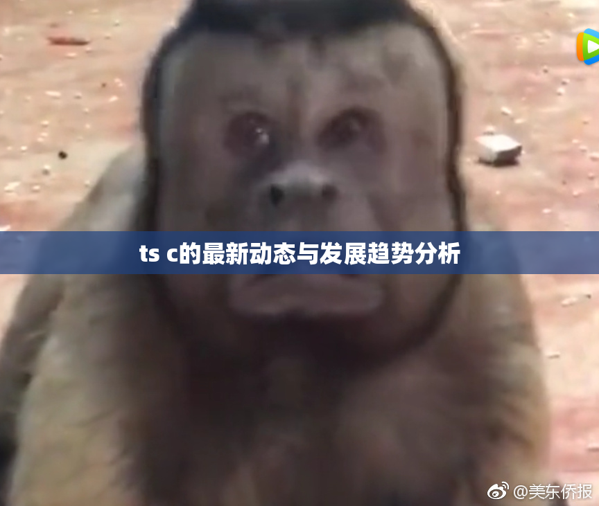 ts c的最新动态与发展趋势分析