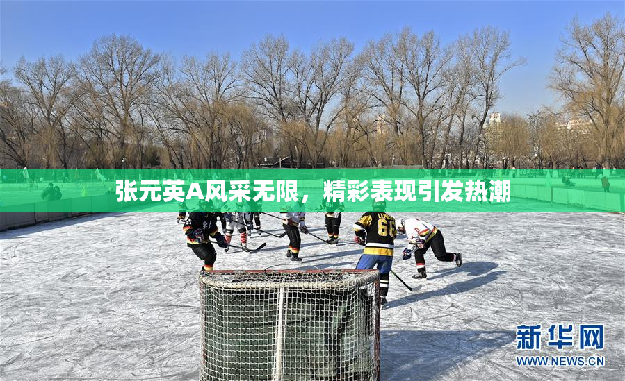 张元英A风采无限，精彩表现引发热潮