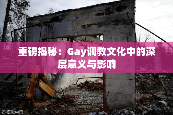 重磅揭秘：Gay调教文化中的深层意义与影响