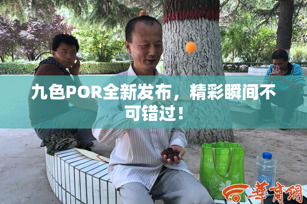 九色POR全新发布，精彩瞬间不可错过！