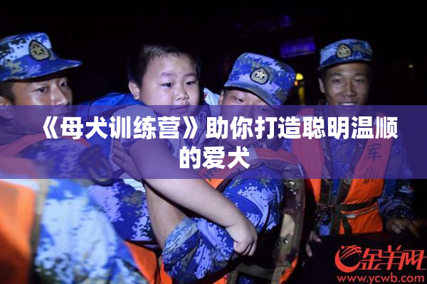 《母犬训练营》助你打造聪明温顺的爱犬