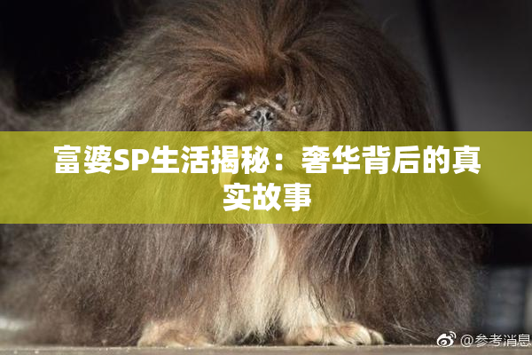 富婆SP生活揭秘：奢华背后的真实故事