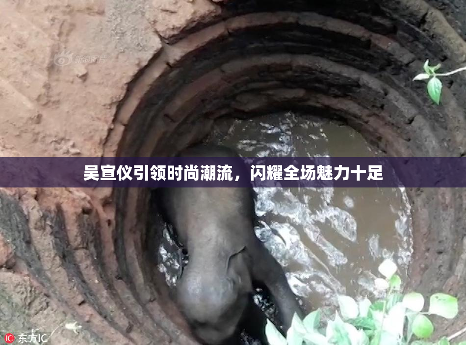 吴宣仪引领时尚潮流，闪耀全场魅力十足