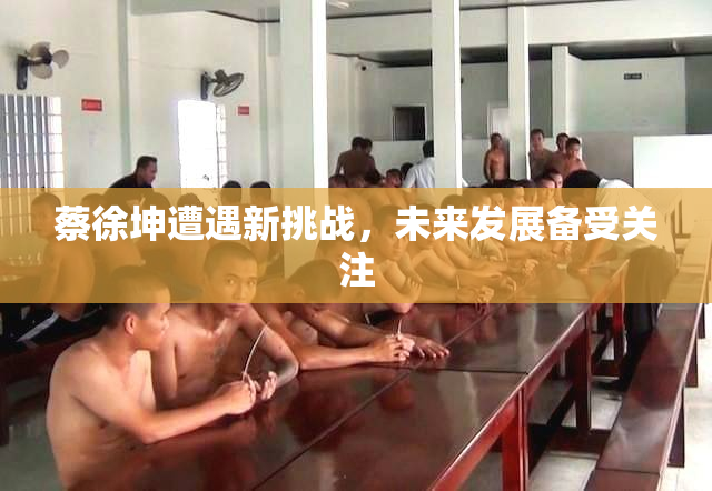 蔡徐坤遭遇新挑战，未来发展备受关注