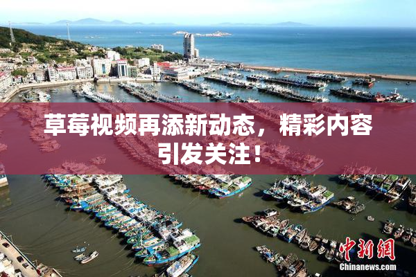 草莓视频再添新动态，精彩内容引发关注！
