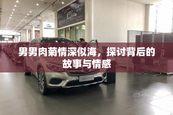 男男肉菊情深似海，探讨背后的故事与情感