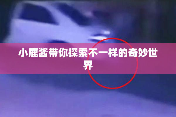 小鹿酱带你探索不一样的奇妙世界