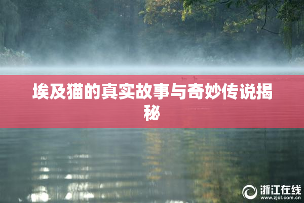 埃及猫的真实故事与奇妙传说揭秘