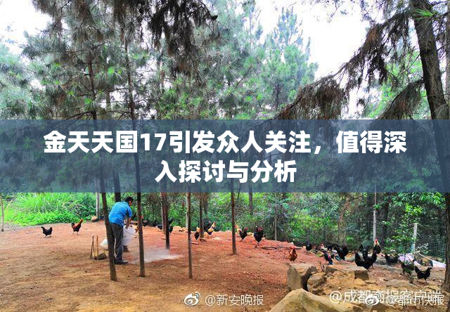 金天天国17引发众人关注，值得深入探讨与分析