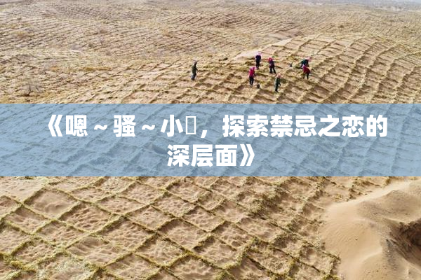 《嗯～骚～小婬，探索禁忌之恋的深层面》