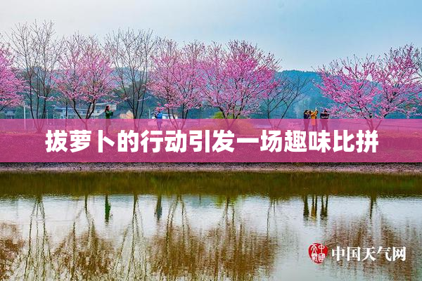 拔萝卜的行动引发一场趣味比拼
