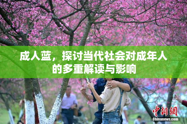 成人蓝，探讨当代社会对成年人的多重解读与影响