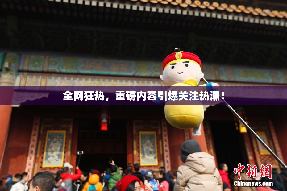 全网狂热，重磅内容引爆关注热潮！