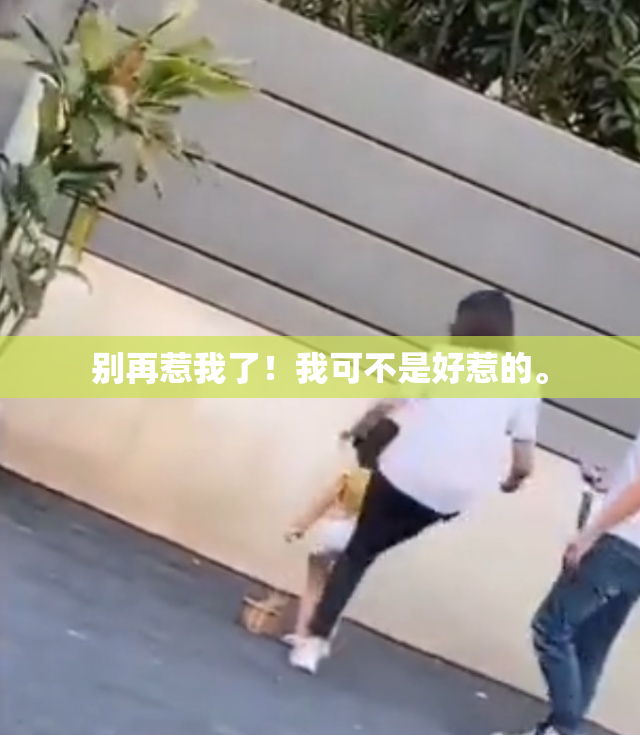 别再惹我了！我可不是好惹的。