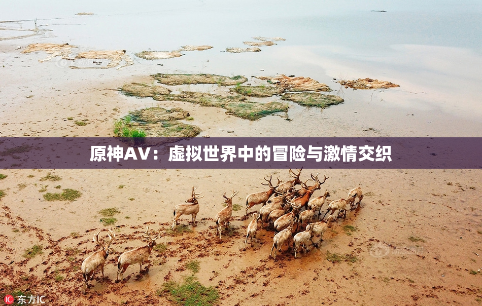 原神AV：虚拟世界中的冒险与激情交织