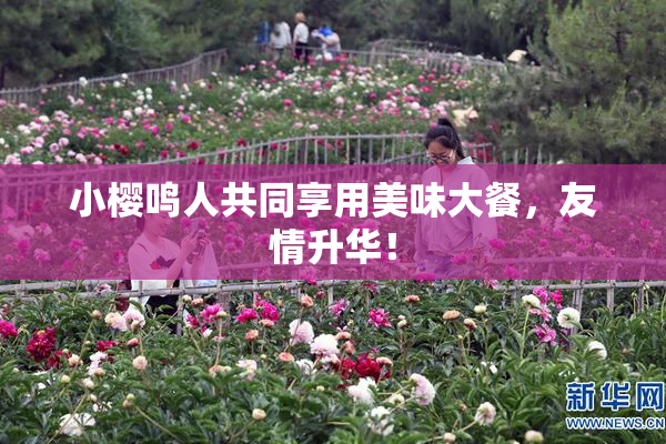小樱鸣人共同享用美味大餐，友情升华！