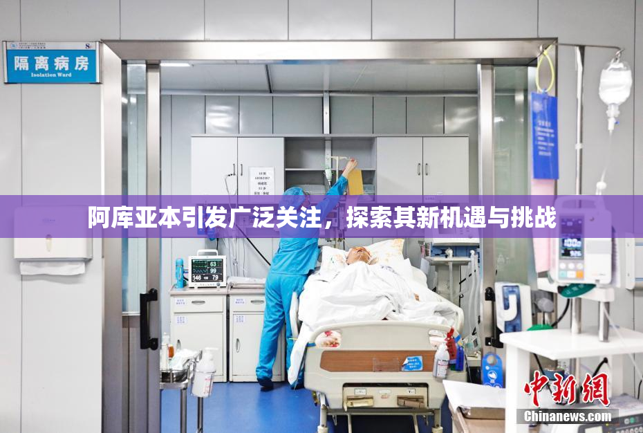 阿库亚本引发广泛关注，探索其新机遇与挑战