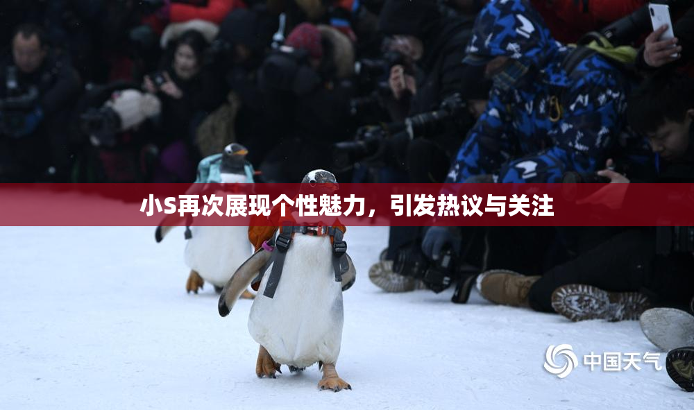小S再次展现个性魅力，引发热议与关注