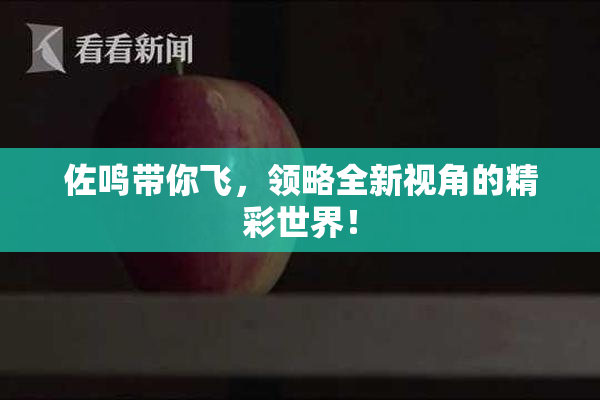 佐鸣带你飞，领略全新视角的精彩世界！