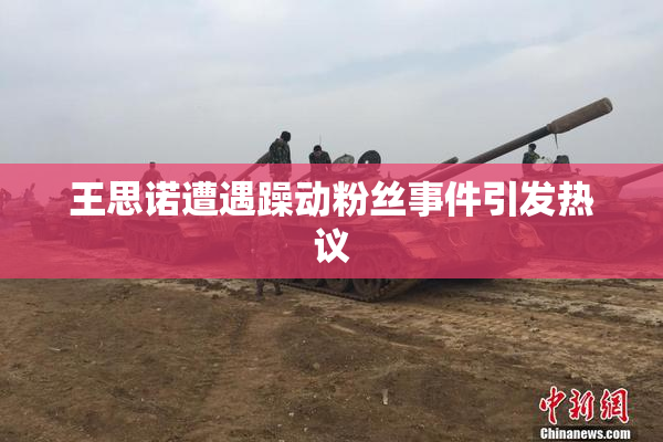 王思诺遭遇躁动粉丝事件引发热议