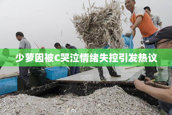 少萝因被C哭泣情绪失控引发热议