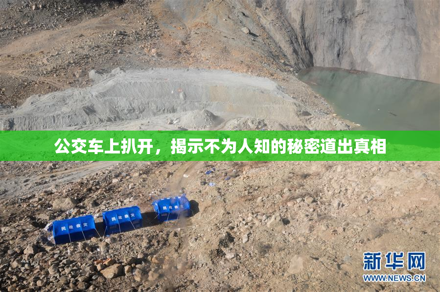 公交车上扒开，揭示不为人知的秘密道出真相