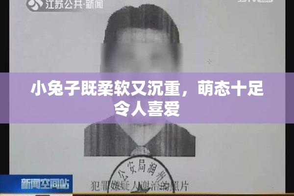 小兔子既柔软又沉重，萌态十足令人喜爱