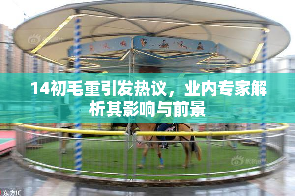14初毛重引发热议，业内专家解析其影响与前景