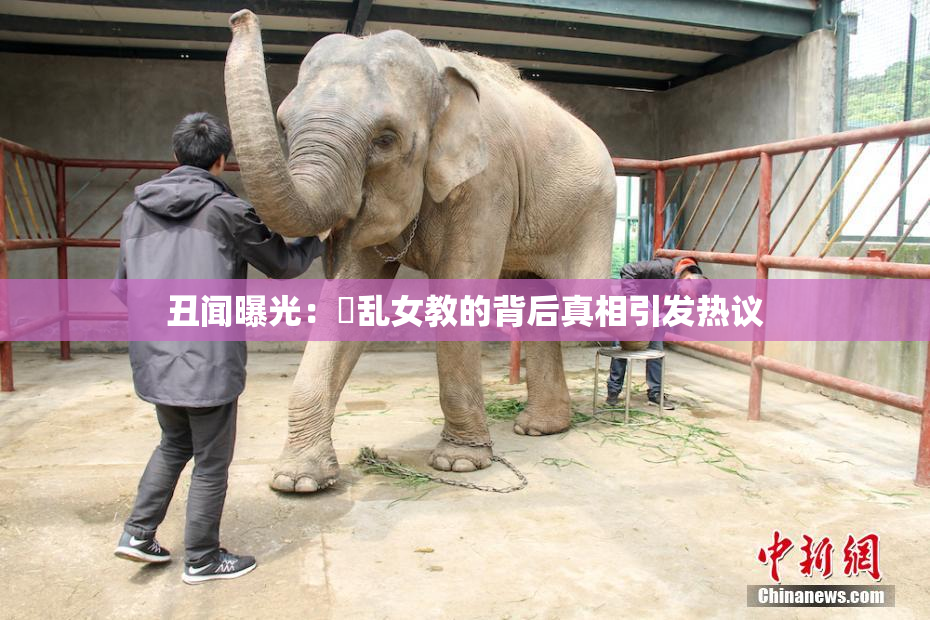 丑闻曝光：婬乱女教的背后真相引发热议