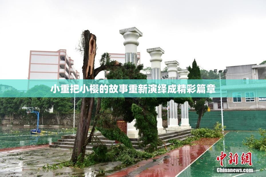 小重把小樱的故事重新演绎成精彩篇章